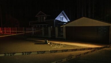 investigate line details thoroughly