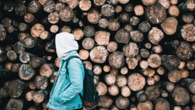 surukuku activity logs trends