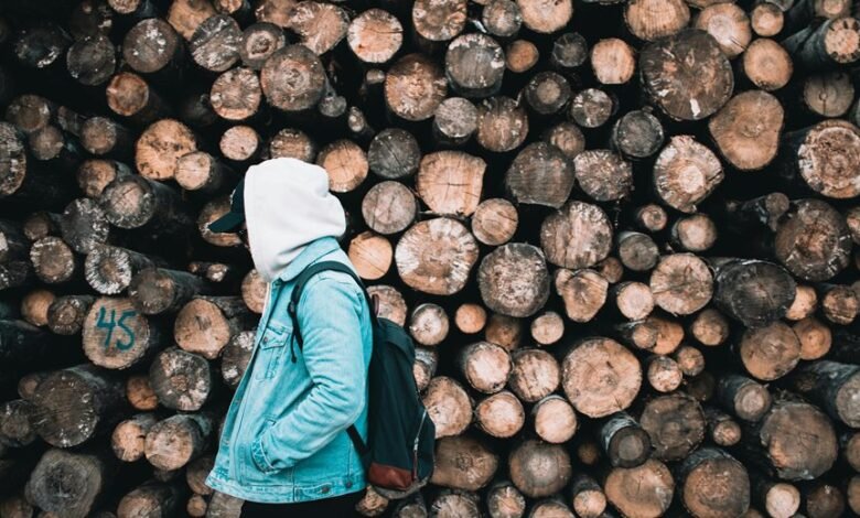 surukuku activity logs trends