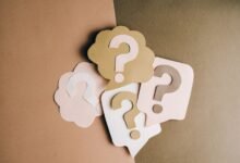 complete guide for paperlixty clearly