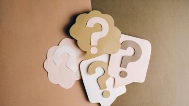 complete guide for paperlixty clearly