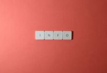 everything about 3202560223 key details