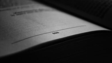 introductory guide numbers sequence