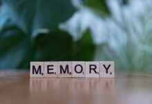 vieredbuay has common uses explained